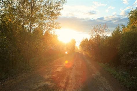 Trail in the sunset forest stock image. Image of road - 103096511