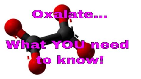 Oxalate – What You Need To Know | Need to know, Nutrition science, Youtube