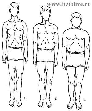 Anthropometry: Evaluation of physical development
