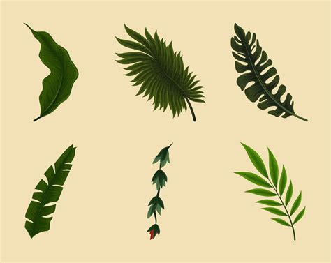 icons leaf jungle 6100526 Vector Art at Vecteezy