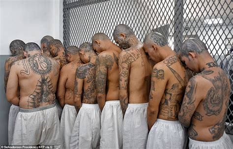 Mega-prison in El Salvador for gangsters, which has 80 beds per 100 people, welcomes first ...