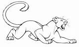 Panther Drawing Images At GetDrawings  Free Download sketch template