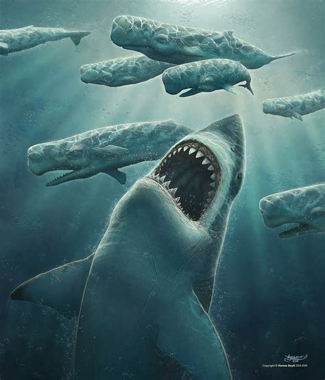 Megalodon: a puzzle piece to understanding ecological concerns around ...