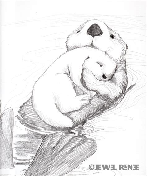 Jewel Renee Illustration: Sea Otter Drawing- Mama and Pup