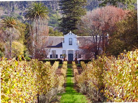 Buitenverwachting Wine Estate - ScenicWiki