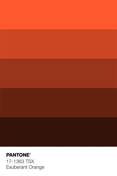 PANTONE 17-1363 TSX Exuberant Orange Color Shades | Orange color shades ...