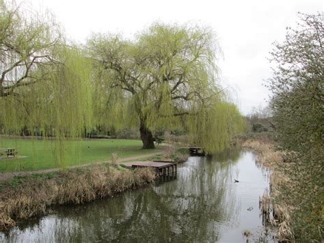 River at Waltham Abbey Gardens © Peter S cc-by-sa/2.0 :: Geograph Britain and Ireland