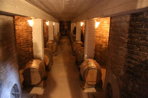 Wine cellar | Wine cellar at Di Tomasso winery in Maipú. | Travel Aficionado | Flickr