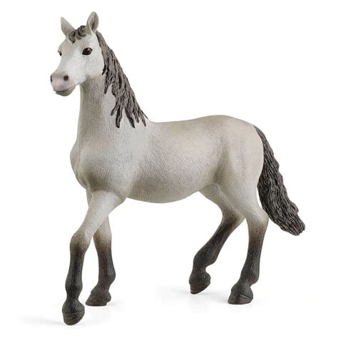 Schleich 13924 - Pura Raza Espanola Young Horse Club Figurine Farmlife – Toy Dreamer