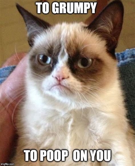 Grumpy Cat Meme - Imgflip