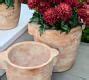 Cosa Terracotta Outdoor Planters | Pottery Barn