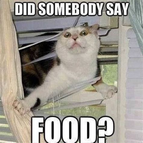 Making Us Laugh This Week | 15 Memes For Anyone Who is Always Hungry ...