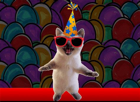 Funny Cat Colorful Thank You. Free Birthday Thank You eCards | 123 Greetings