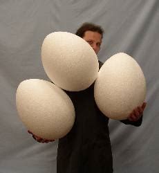 Extra Large Styrofoam Eggs