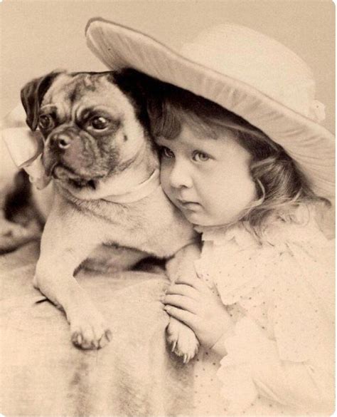 Pug Photos, Pug Pictures, Fu Dog, Dog Cat, Portrait Vintage, Vintage Art, Vintage Illustration ...