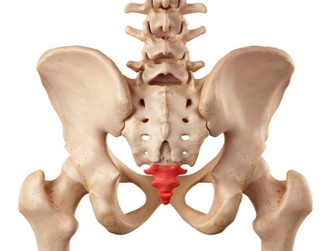 Tailbone Pain or Coccydynia : Causes and Treatment - Revitalize Medical Center