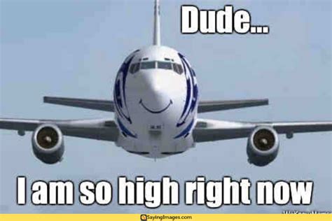 20 Airplane Memes That Will Leave You Laughing For Days