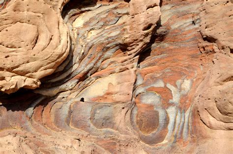 Rock art at Petra (10) | Petra | Pictures | Jordan in Global-Geography