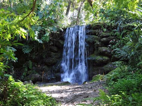 7 Gorgeous Secret Waterfalls in Florida (with Photos) – Trips To Discover