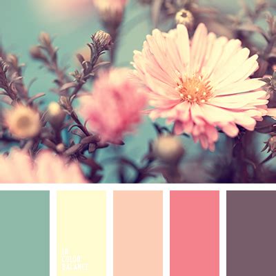 plum-brown color | Color Palette Ideas