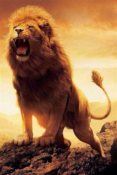 Lion King Roar Wallpaper