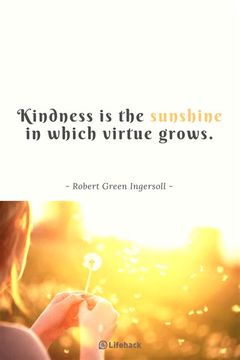 27 Kindness Quotes to Warm Your Heart
