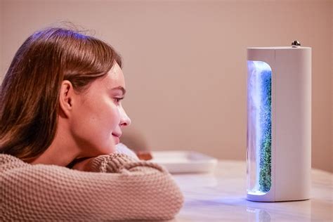 Breathe Cleaner Air with Moss Air Purifier – TechAcute