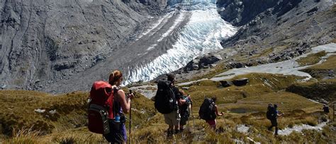 New Zealand Hiking Trip Southern Alps Discovery