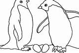 Adelie Penguin Coloring Page At GetColoringscom  Free Printable sketch template