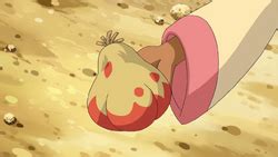 Iapapa Berry - Bulbapedia, the community-driven Pokémon encyclopedia