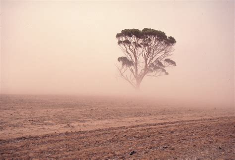 Soil Erosion By Wind