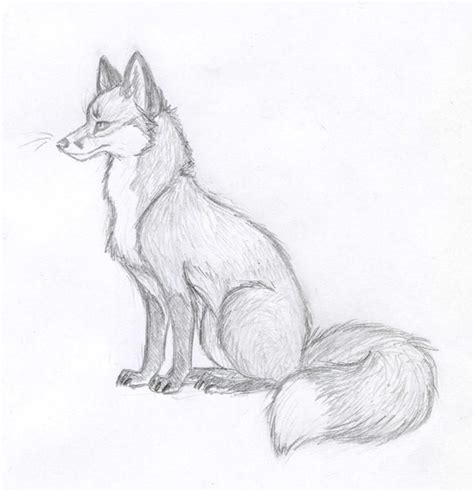 Fox Sketch - New 2012 by Vicnor on DeviantArt | Animal drawings ...