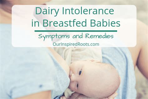 Dairy Intolerance in Breastfed Babies: Symptoms and Remedies