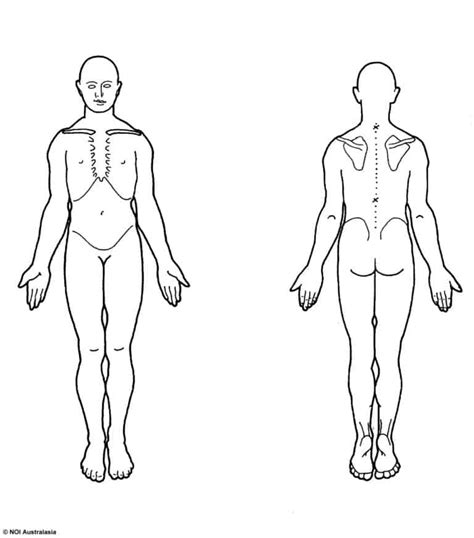 Body chart - Weymouth Physiotherapy