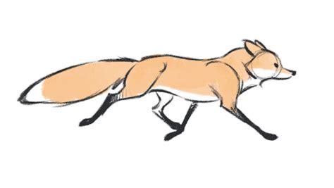 How to Draw Wolves, Coyotes and Foxes | On Sale! | Animal drawings, Animation art sketches, Fox art