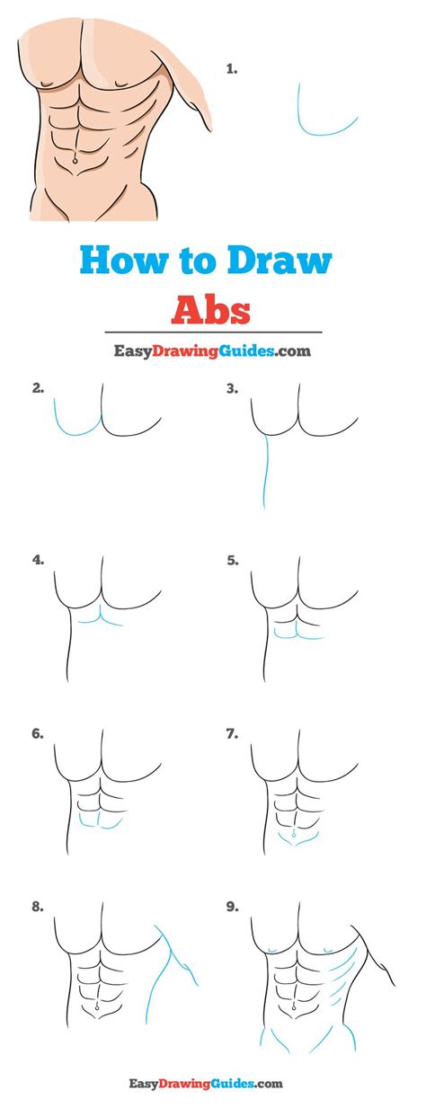 How to Draw Abs - Really Easy Drawing Tutorial | How to draw abs, Drawing tutorial easy, Drawing ...