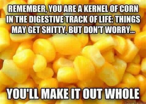 Pin by Jasper 🐌 on Made me laugh | Survival food, Food, Corn