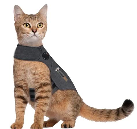 Do Thundershirts Work on Cats? Thundershirt for Cats Review