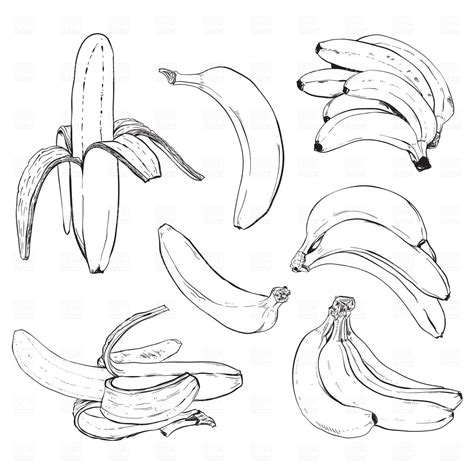 Some bananas in 2020 | Illustration art kids, Banana sketch, Vector artwork