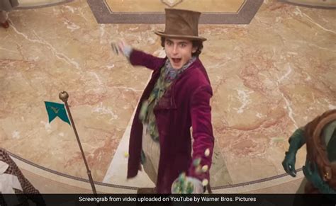 Wonka Trailer: The Internet Has Mixed Feelings About Timothee Chalamet's Film