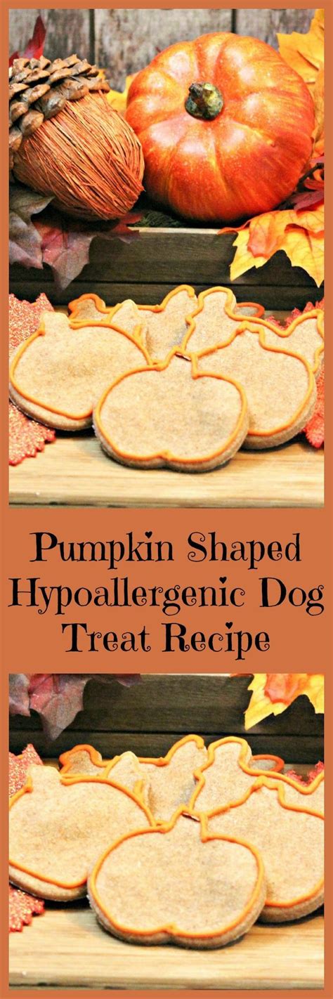 Pumpkin Shaped Hypoallergenic Dog Treat Recipe | Recipe | Dog treat recipes, Dog food recipes ...