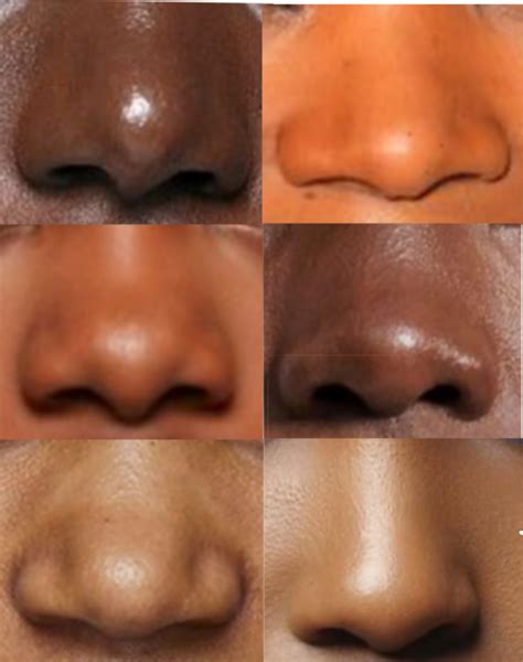 Nose Drawing Reference for Black Women