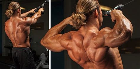 Few Tips To Make Your Rear Delts Roar – Fitness Volt