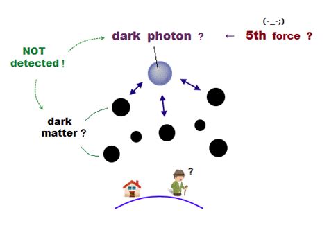 Dark photon, positron, fifth force