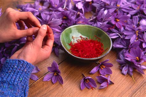 Saffron Benefits for Health You Should Know | Fine Dining Lovers