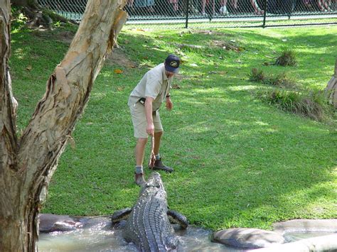 DSC02084 | The Australia Zoo - Crocodile Feeding | Joost Rooijmans | Flickr