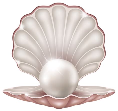 Beautiful Clam with Pearl PNG Clipart Image | Pearl images, Pearls, Very beautiful flowers