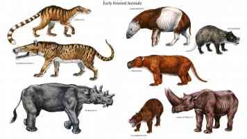Mammal Like Dinosaurs Wallpapers Gallery - page 1