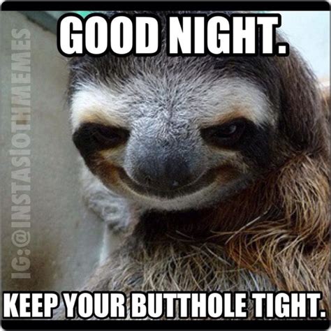 sloth nighty night | Sloths | Know Your Meme