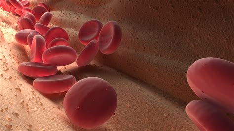 Blood cells animation 3D model - TurboSquid 1238674